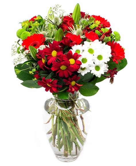 We did not find results for: Fortnightly Flower Delivery - VIA Large Red