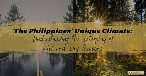 The Philippines Unique Climate Understanding The Interplay Of Wet And