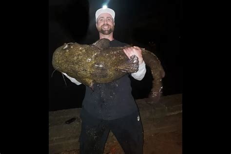 One Of Pennsylvanias Largest Fish A Probable State Record Caught In