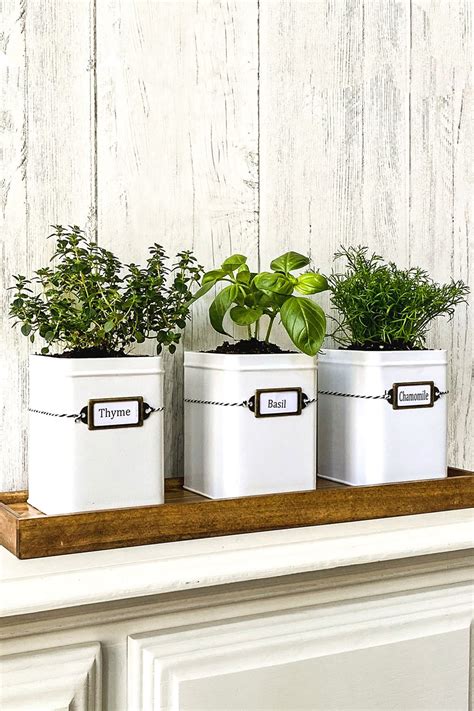 How To Make A Diy Indoor Herb Garden Kit For Your Kitchen Window