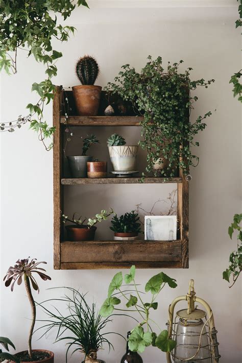 Filling A Space With Plants And Arranging Them On Rustic