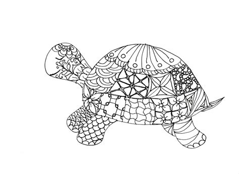 Adult Coloring Pages Turtle At GetColorings Com Free Printable