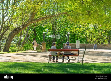 Women Talking Bench Two Elderly Women Chat On A Park Bench In The