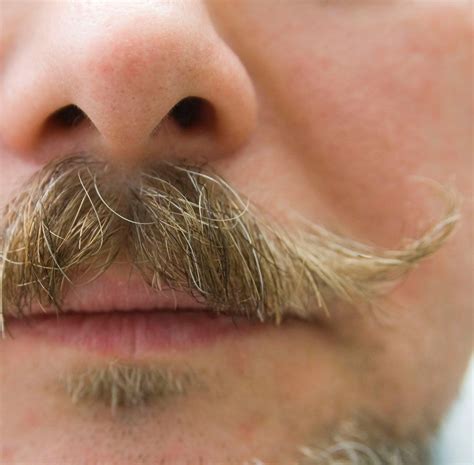 6 Steps On How To Trim Mustache Quickly Expert Tips Artofit