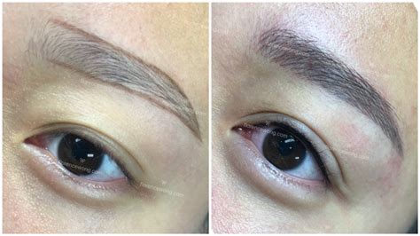 Elegant 3d Brow Embroidery ~ Natural Brow And Liner Florence Wong