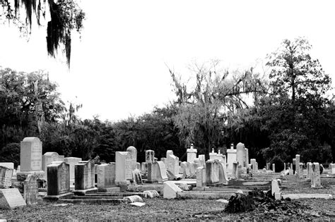 Bonaventure Cemetery All Narfed Up