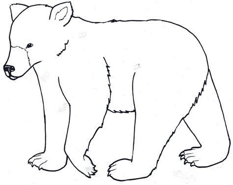 Grizzly Bear Outline Clipart Best