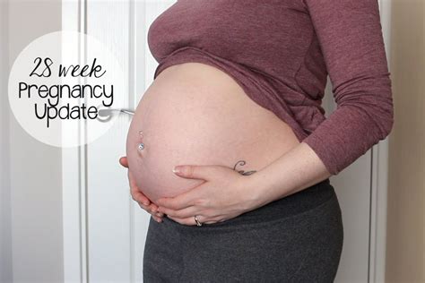 Pregnancy Update Weeks Youtube