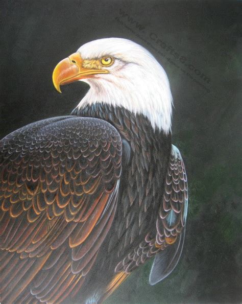 China Animal Oil Paintings Eagle Painting China Animal Oil Painting