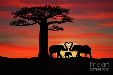 Beautiful Silhouette Of African Elephants At Sunset Digital Art By