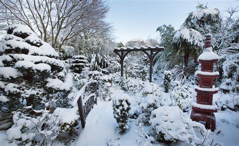 January Snowfall In The Lower Garden Four Seasons Garden Flickr