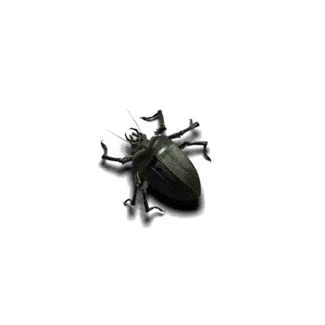 Bug  Find And Share On Giphy Pests Pest Control Bug Exterminator