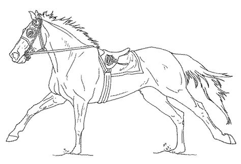 Free Coloring Pages Of Horses