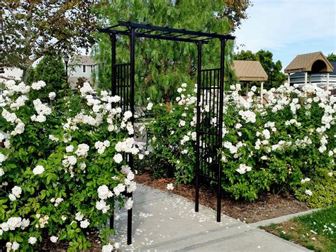 Rose Trellis Jardin Rose Arch Gardeners Supply Nantucket Gardens