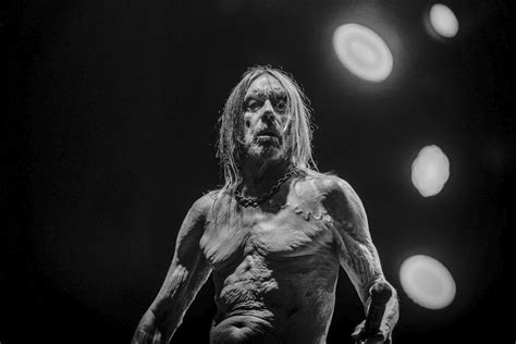 Review Iggy Pop S Every Loser