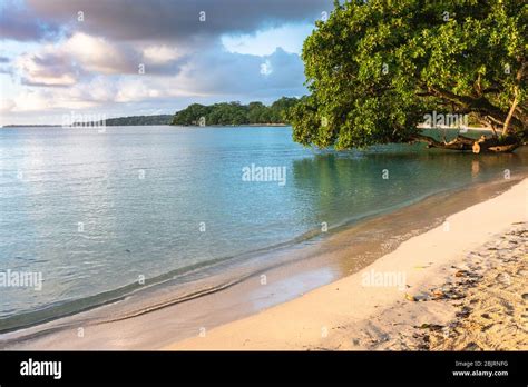 sunset on idyllic sand beach blue lagoon champagne coast on espiritu santo island vanuatu stock