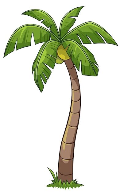 Premium Vector Coconut Tree Cartoon Style