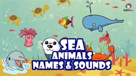 Learn Sea Animals Names And Sounds For Children Sea Animals Name With