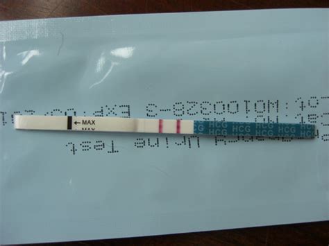 Wondfo Pregnancy Test Strips 25 Count Medical Health