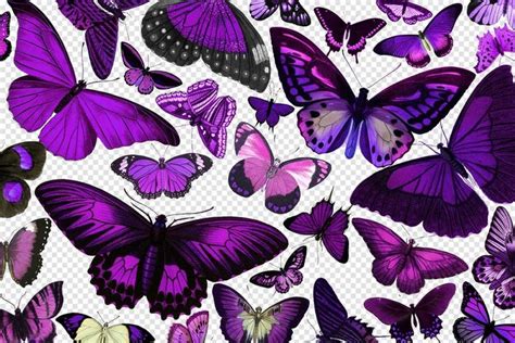 Vintage Purple Butterflies Vintage Butterfly Clipart Antique