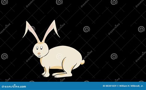 Rabbit Hops Stock Footage And Videos 13 Stock Videos