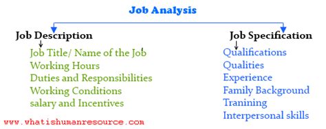 Job specification is another aspect of job analysis. Job Descriptions and Job Specifications - What is Human ...