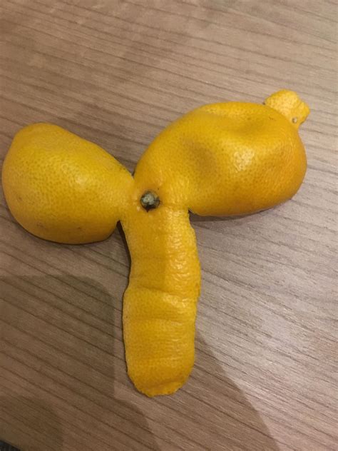 This Orange Peel Rmildlypenis