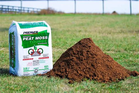 How Much Peat Moss For Lawn
