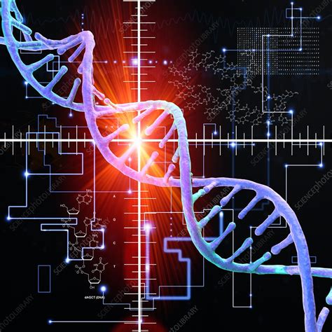 Dna Strand Illustration Stock Image F0203190 Science Photo Library