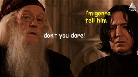 Harry Potter Memes That Prove Snape Secretly Cared For Harry All Along Animated Times