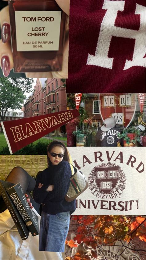 Harvard Moodboard Universidade De Harvard Motivação Escolar