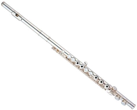 Flutes Forever The Concert Flute