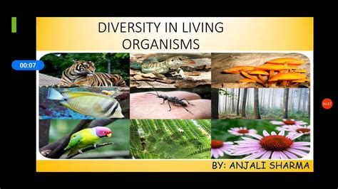 Diversity In Living Organisms Youtube