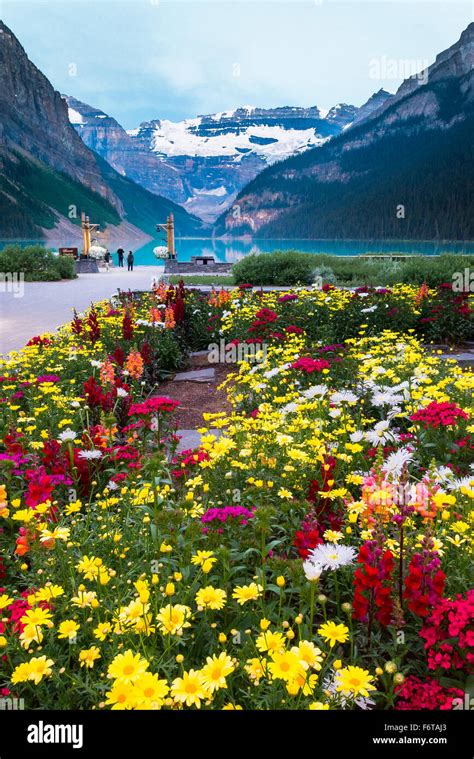 Garden In Front Of Chateau Lake Louise Lake Louise Banff National