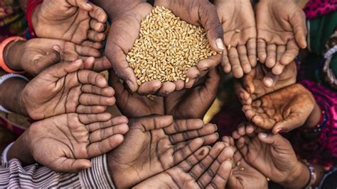 In july, the organization predicted that people will rely on its food banks for as much as 17 billion pounds of food over the next 12 months—more than three times the distribution feeding america had last year. Karnali faces 23,000 metric tons of food shortage ...