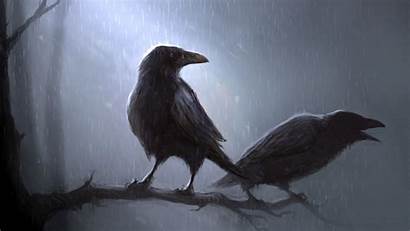 Crow Raven Bird Background Wallpapers Animal Crows