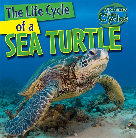 Buy The Life Cycle Of A Sea Turtle Nature S Life Cycles Online At