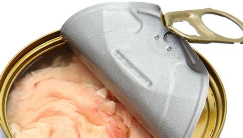 Millennials Are Now Being Blamed For Killing Canned Tuna But Is It Really Because They Dont