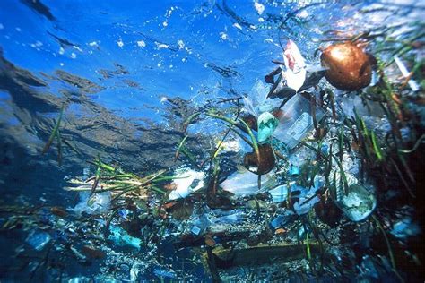 The picture above wanted to tell us about excess plastic, water pollution and the destruction of aquatic life. How Is Plastic Ruining The Oceans In The Worst Way Possible?