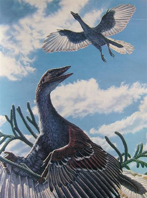 Archaeopteryx By John Gurche Prehistoric Animals Prehistoric