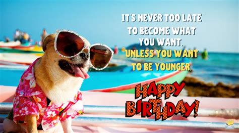 Funny Happy Birthday Images A Smile For Their Special Day
