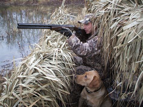 Waterfowl Hunting Resources Learn To Hunt Waterfowl Ducks Geese