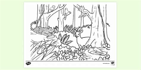 Free Habitat Colouring Page Colouring Sheets Twinkl