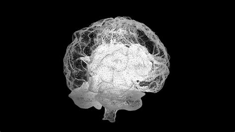 3d Render Xray Style Image Of Human Brain Rotating Human