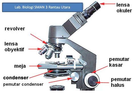 Cara Menghitung Perbesaran Mikroskop Ruang Ilmu