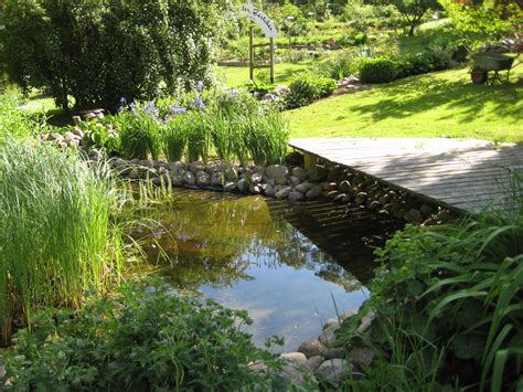 Ein inspirierender gastartikel von eckard gerlach, der ein solar betriebenes bewässerungssystem entwickelt hat, mit dem der traum vom feuchtgebiet im garten wirklichkeit werden kann. Feuchtbiotop Im Garten / Feuchtbiotope Vom Garten ...