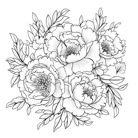 Doodle Line Art Peony Flower Bouquet Wreath Frame Elements Peony