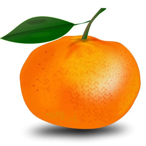 Orange Fruit Free Stock Photo Illustration Of An Orange 14459