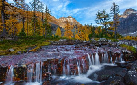 壁紙 ブリティッシュコロンビア州、カナダ、森、木、岩、川 2560x1600 Hd 無料のデスクトップの背景 画像