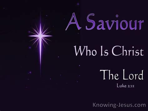 28 Bible Verses About Nativity Of Jesus Christ